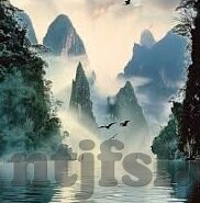 高清在线成人视频-高清在线成人视频，现代生活的一道独特风景