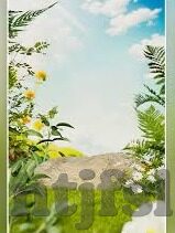 麻豆传媒网页版-article: 麻豆传媒官方摘要体验与分析