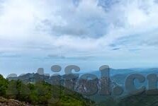 在线观看麻豆视频-Live Streaming from L Limitless: A New Horizon of Content Discovery